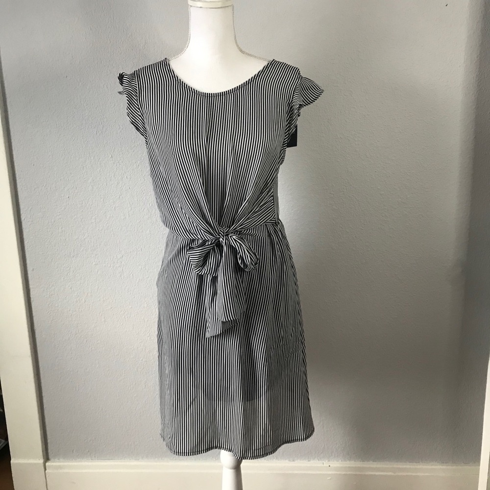 Eclair Navy Blue and White Striped Dress - Picture 1 of 4
